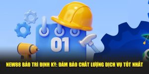 New88 bảo trì